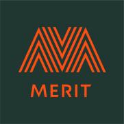 Merit Software